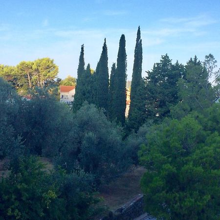 Apartament Harmony Sveti Stefan Zewnętrze zdjęcie